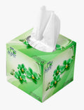 Ecosafe Facial Tissue 2Ply 100 shts